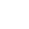 play icon white