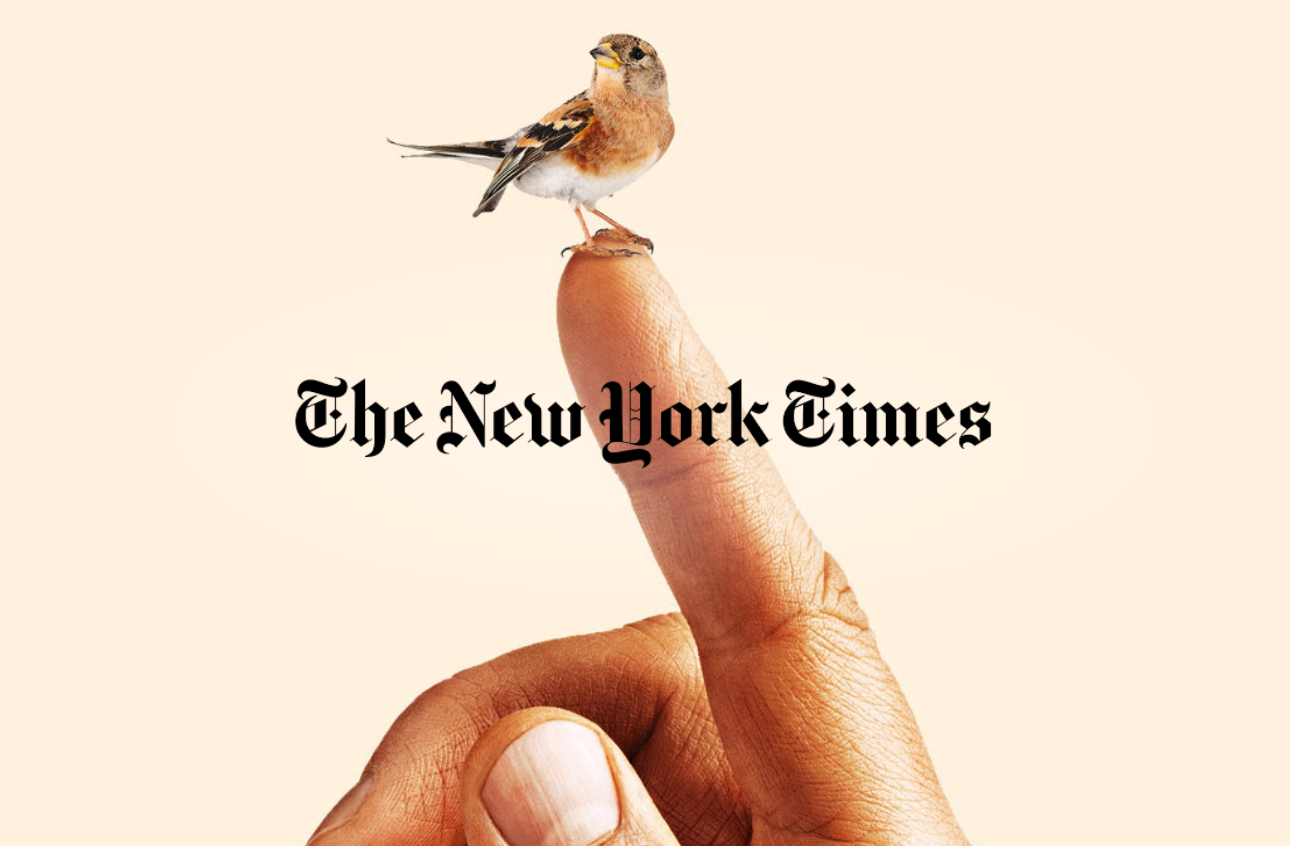 The New York Times