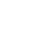 play icon white